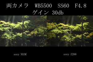 vlcsnap-2026-05-21-02h16m44s366