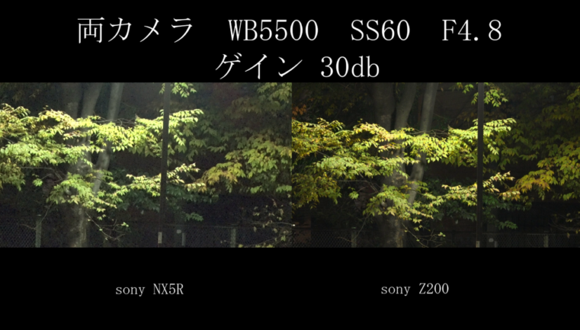 vlcsnap-2026-05-21-02h16m44s366
