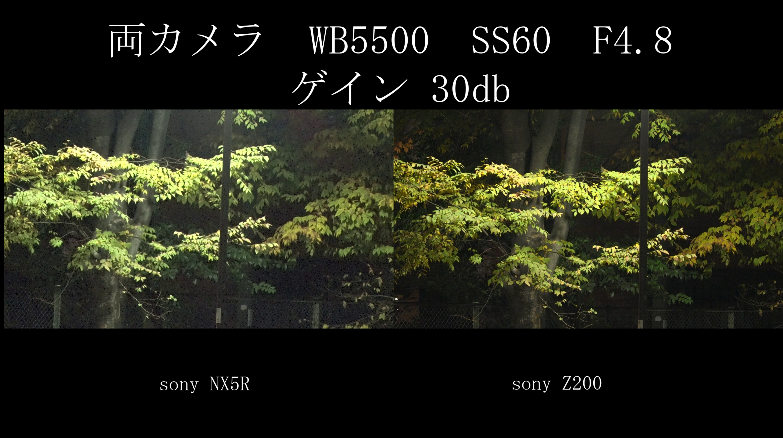 vlcsnap-2026-05-21-02h16m44s366